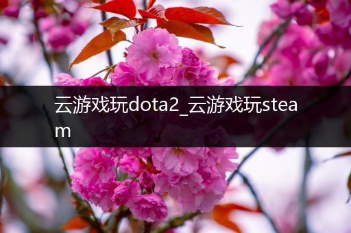 云游戏玩dota2_云游戏玩steam