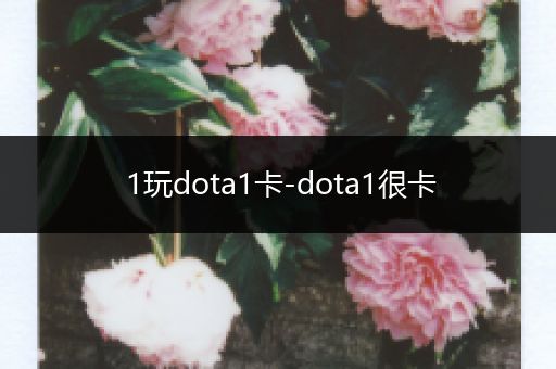 1玩dota1卡-dota1很卡