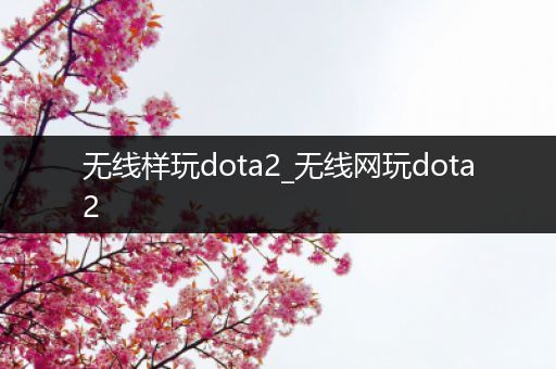 无线样玩dota2_无线网玩dota2