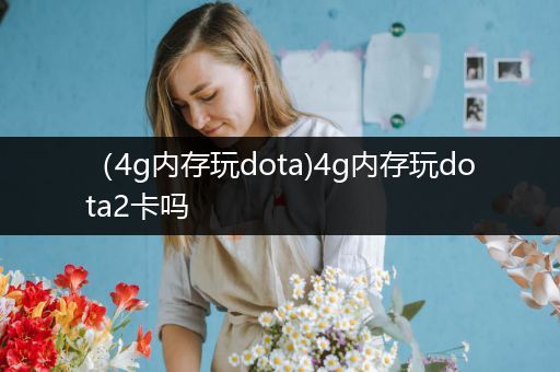 （4g内存玩dota)4g内存玩dota2卡吗