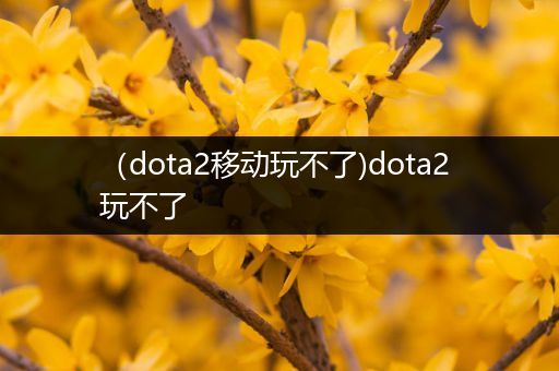 （dota2移动玩不了)dota2 玩不了