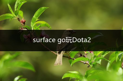 surface go玩Dota2