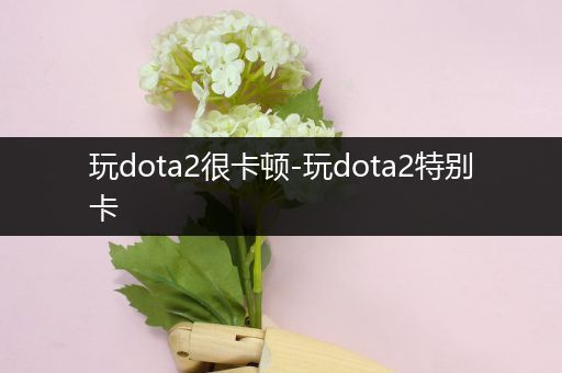 玩dota2很卡顿-玩dota2特别卡
