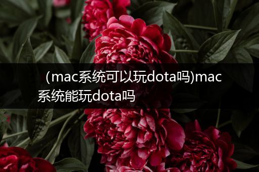 （mac系统可以玩dota吗)mac系统能玩dota吗