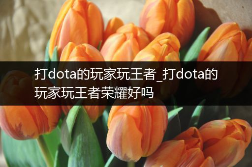 打dota的玩家玩王者_打dota的玩家玩王者荣耀好吗