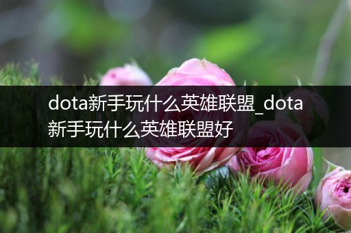 dota新手玩什么英雄联盟_dota新手玩什么英雄联盟好