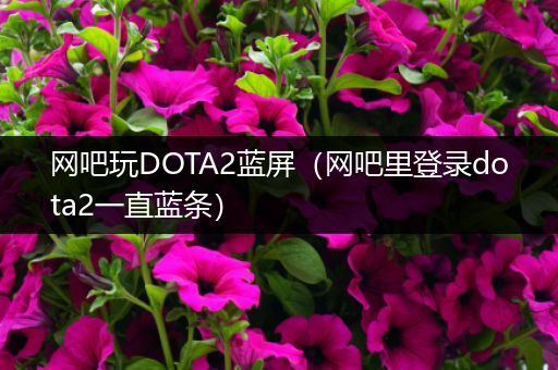 网吧玩DOTA2蓝屏（网吧里登录dota2一直蓝条）