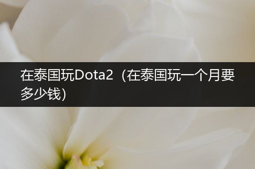 在泰国玩Dota2（在泰国玩一个月要多少钱）
