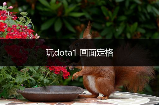 玩dota1 画面定格