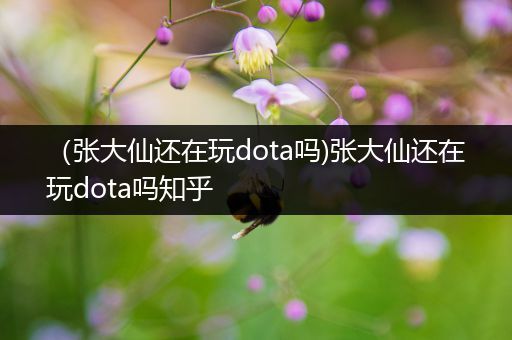 （张大仙还在玩dota吗)张大仙还在玩dota吗知乎