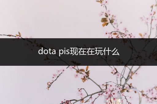 dota pis现在在玩什么