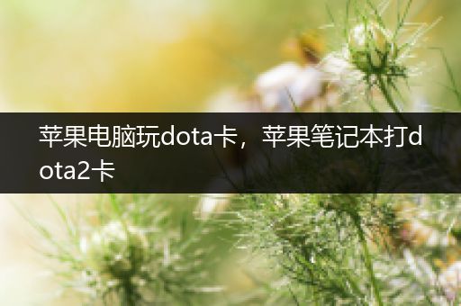 苹果电脑玩dota卡，苹果笔记本打dota2卡