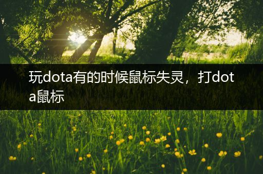 玩dota有的时候鼠标失灵，打dota鼠标