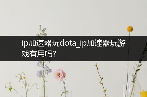 ip加速器玩dota_ip加速器玩游戏有用吗?