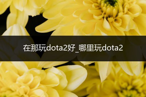 在那玩dota2好_哪里玩dota2