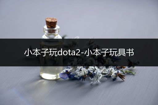 小本子玩dota2-小本子玩具书