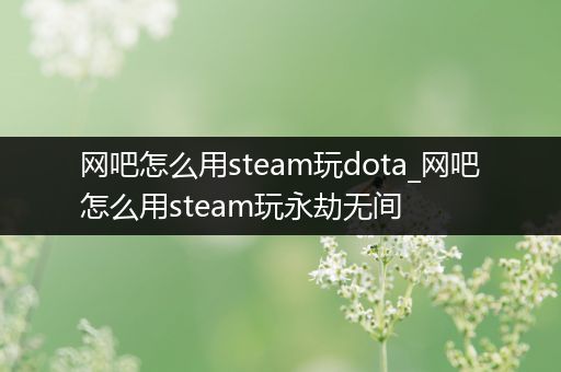 网吧怎么用steam玩dota_网吧怎么用steam玩永劫无间