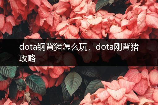 dota钢背猪怎么玩，dota刚背猪攻略