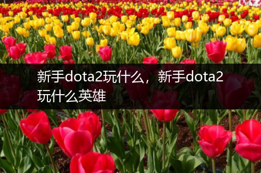 新手dota2玩什么，新手dota2玩什么英雄