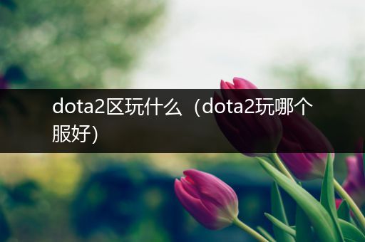 dota2区玩什么（dota2玩哪个服好）