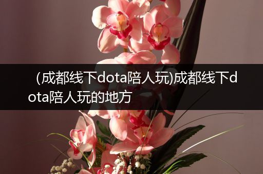 （成都线下dota陪人玩)成都线下dota陪人玩的地方