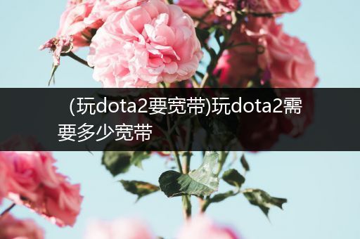 （玩dota2要宽带)玩dota2需要多少宽带