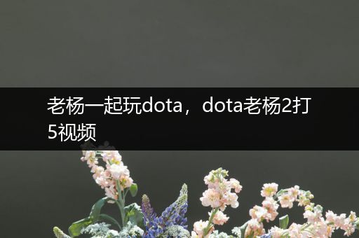 老杨一起玩dota，dota老杨2打5视频