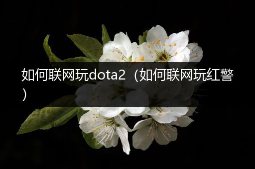 如何联网玩dota2（如何联网玩红警）