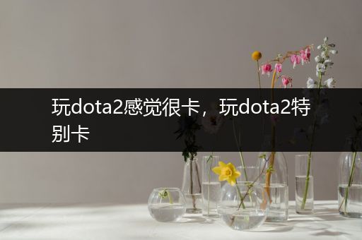 玩dota2感觉很卡，玩dota2特别卡