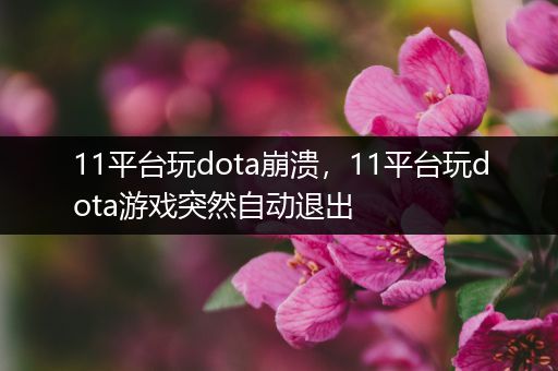 11平台玩dota崩溃，11平台玩dota游戏突然自动退出