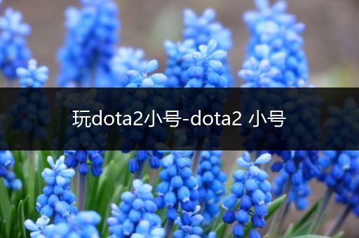 玩dota2小号-dota2 小号