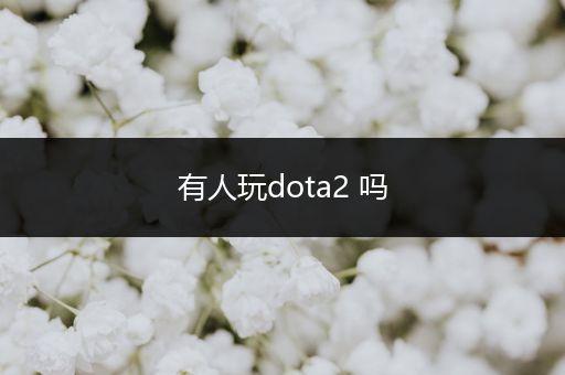 有人玩dota2 吗