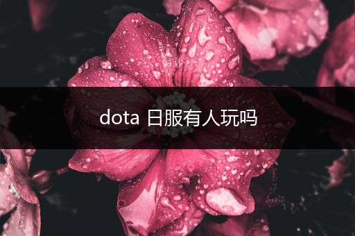 dota 日服有人玩吗