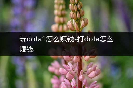玩dota1怎么赚钱-打dota怎么赚钱