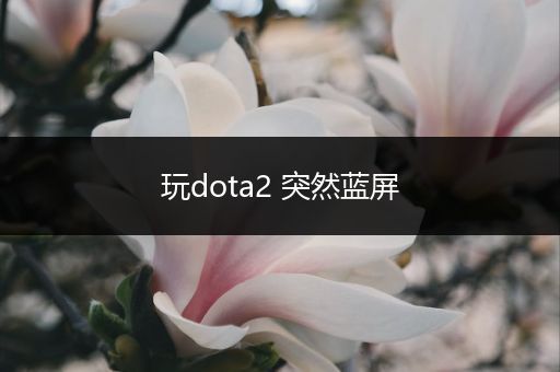 玩dota2 突然蓝屏