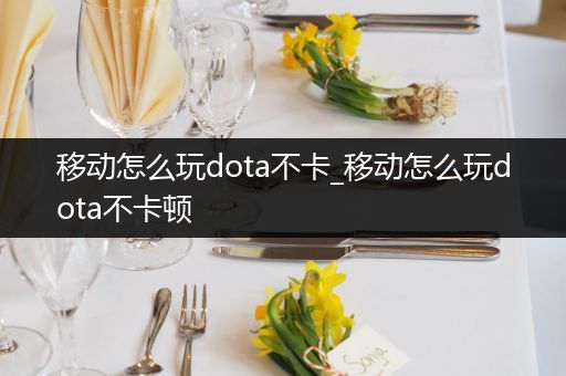 移动怎么玩dota不卡_移动怎么玩dota不卡顿