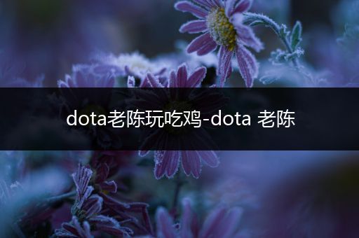 dota老陈玩吃鸡-dota 老陈