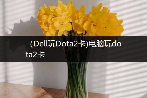 （Dell玩Dota2卡)电脑玩dota2卡