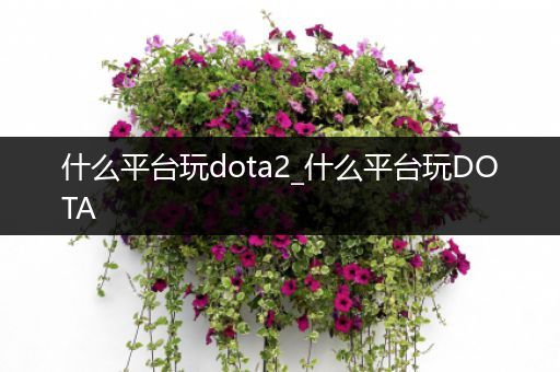 什么平台玩dota2_什么平台玩DOTA