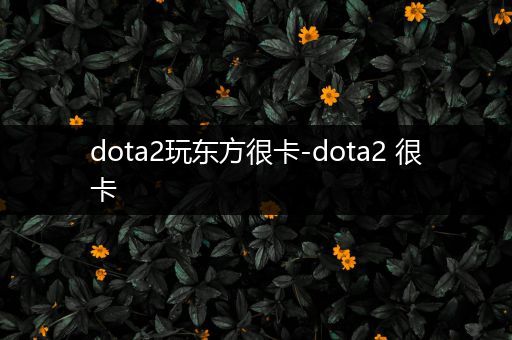 dota2玩东方很卡-dota2 很卡