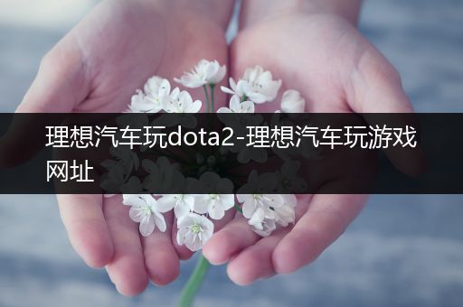 理想汽车玩dota2-理想汽车玩游戏网址