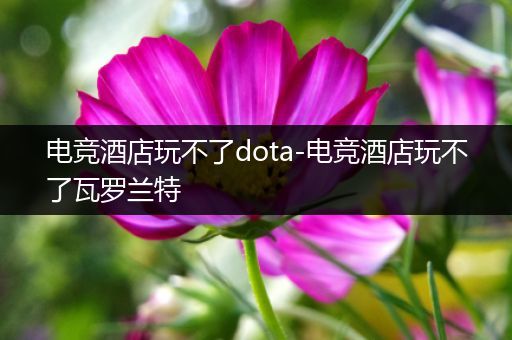 电竞酒店玩不了dota-电竞酒店玩不了瓦罗兰特