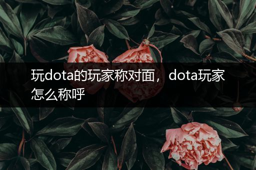 玩dota的玩家称对面，dota玩家怎么称呼