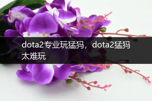 dota2专业玩猛犸，dota2猛犸太难玩