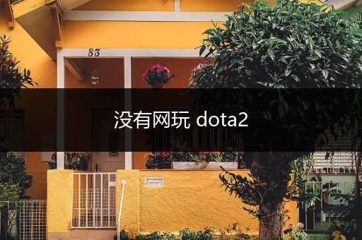 没有网玩 dota2