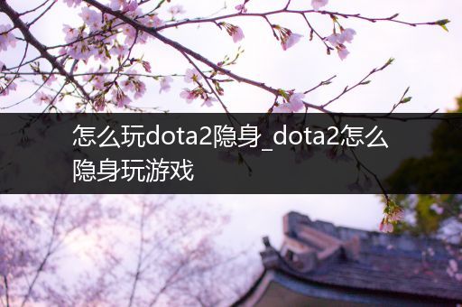 怎么玩dota2隐身_dota2怎么隐身玩游戏