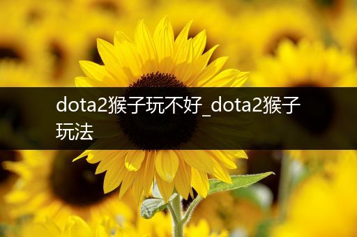 dota2猴子玩不好_dota2猴子玩法