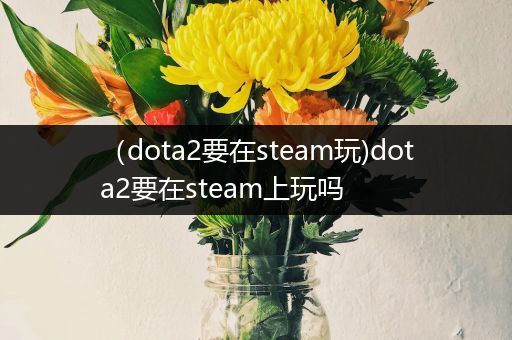 （dota2要在steam玩)dota2要在steam上玩吗