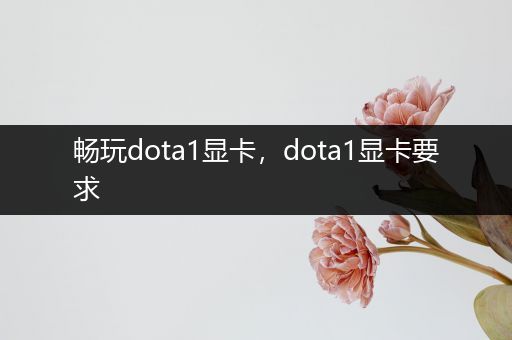 畅玩dota1显卡，dota1显卡要求