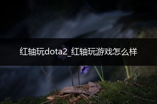 红轴玩dota2_红轴玩游戏怎么样